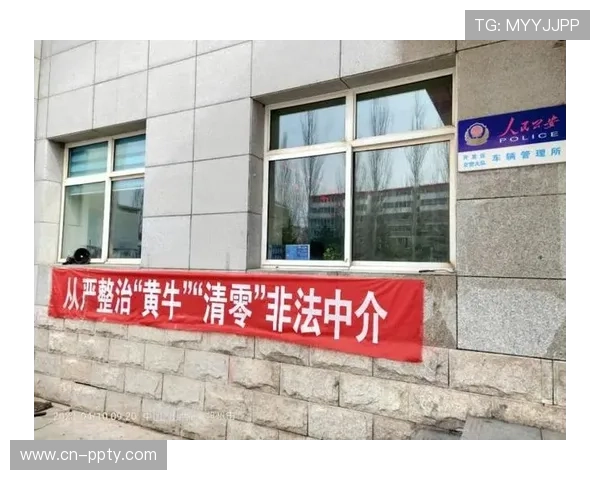 德甲门票转售新规出台，打击黄牛党成效初显