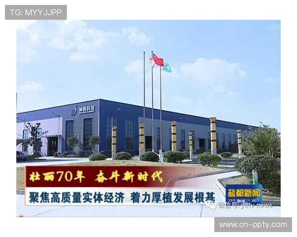 当前发展phase资源分配优化 聚焦高效益环节 当前发展phase资源分配优化 聚焦高效益环节